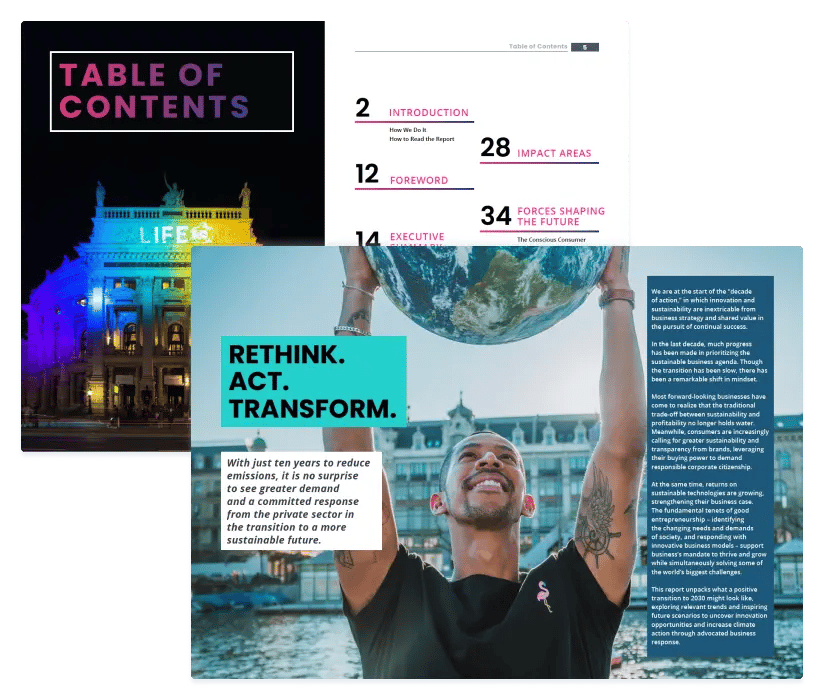 Sustainability & Innovation Report - Free Download